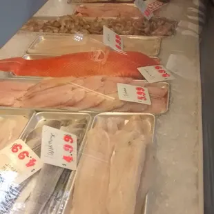 fish on display