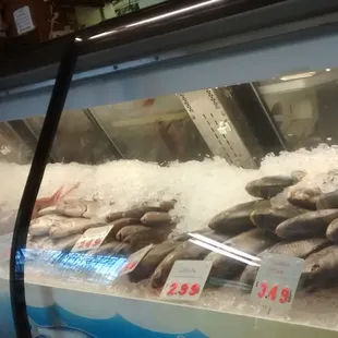 a display of fresh seafood