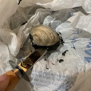 a clam in a plastic bag