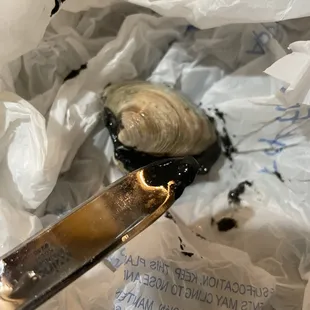 a clam in a plastic bag