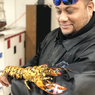 Look at this Rare Calico Lobster they named EVE! 1 in 30 million!