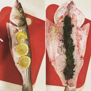 Mmmmm delicious fresh fish!