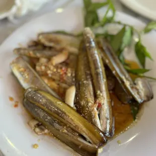 Razor clams