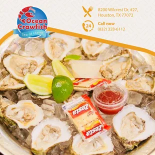 When you feel lost, you should come and enjoy oysters.