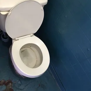 Yucks!  Do not use their toilet before your meal or your day is done for!