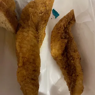 Ocean Fish