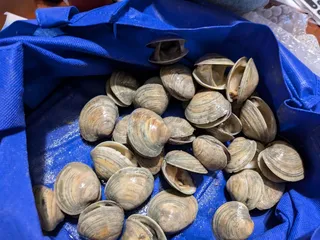 Lombardi's Seafood