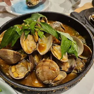 Clams in spicy garlic sauce