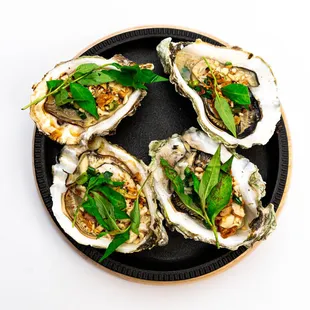 a plate of oysters
