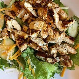Chicken salad