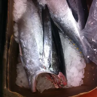 a box of fish on ice