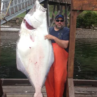 Our friend and fisherman  Steve  caught. A big one in Alaska