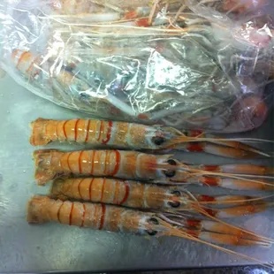 Langoustine