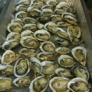 Kushii oyster. Clean n easy to open