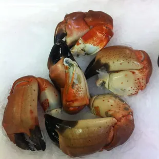 Rock crab claws