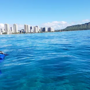 Snorkeling Turtle Canyon.