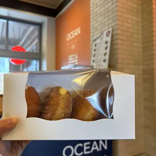 4 Pack of Malasadas: Haupia, Lilikoi, Guava, Plain