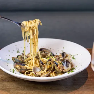 Clam Linguine