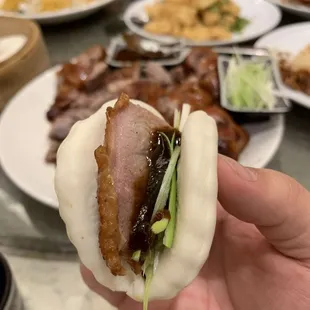 Peking Duck