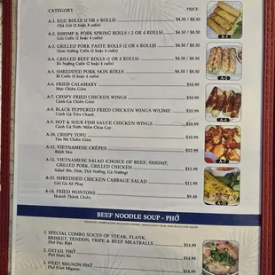 I ordered the Spring Roll