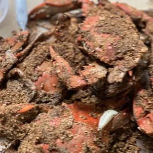 Delicious jumbo crabs