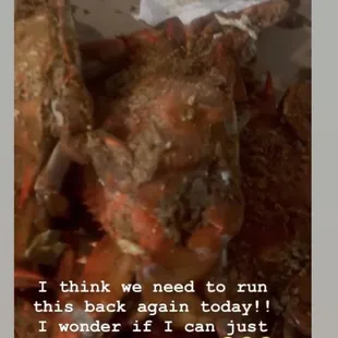 Bomb  my sissy and I demolished them