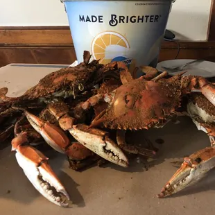 Steamed Crabs