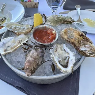 Oysters on the Half Shell