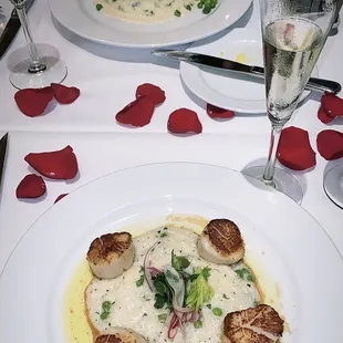 Sea Scallops