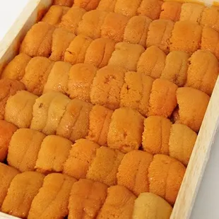 Uni Japan - Sea Urchin from Japan