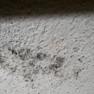 Mold on the ceiling near the bed