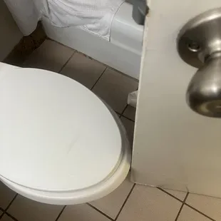 Door meets toilet