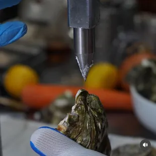 oysters, shellfish, oysters and mussels, mussels, food