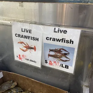 Crawfish $2.99lb on 4.29.24