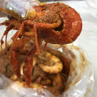 1 lb. Live Crawfish
