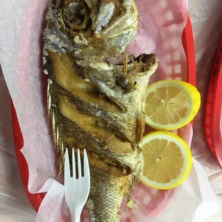 Red Snapper