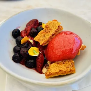 Summer fruit sorbet