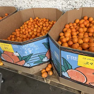 California Orange; $0.29 LB