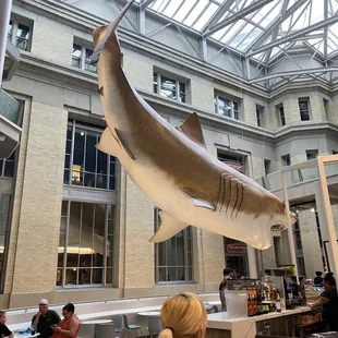 Another angle of your view while eating