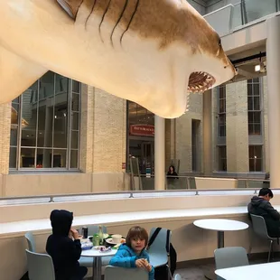 Under the Meg