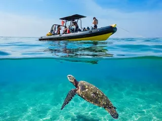Diamond Head Cruises