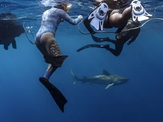 Go Adventure Hawaii