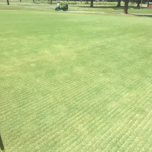 The greens were sandy and serated.