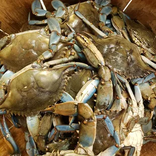 blue crabs in a wooden bowl