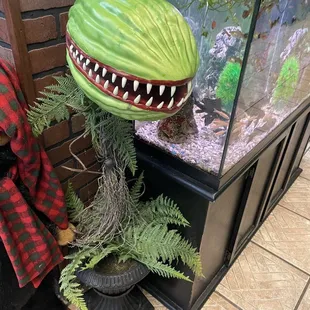 Seymour guards the Aquarium