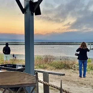 Rare juvenile Humpback Whale sighting inside Pillar Point Harbor in September 2024