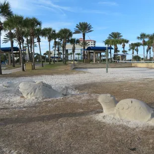 Taken from the parking lot