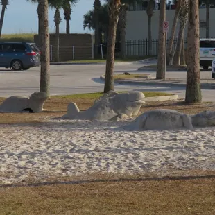 Fun for pics (near the parking lot and at the end of the sand volleyball court)