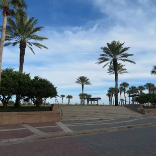Main entrance to the main part of the park (taken from across the street at the UNF park)