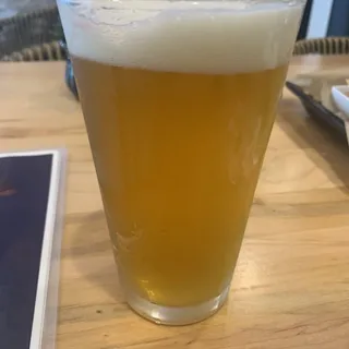 Novo The Mango IPA Beer